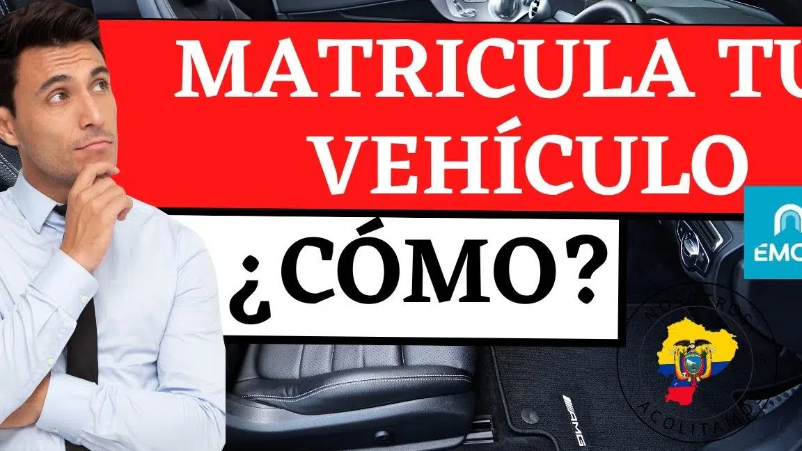 Matriculación anual vehicular